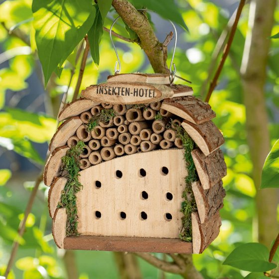 Bienen- und Marienkäferhotel 