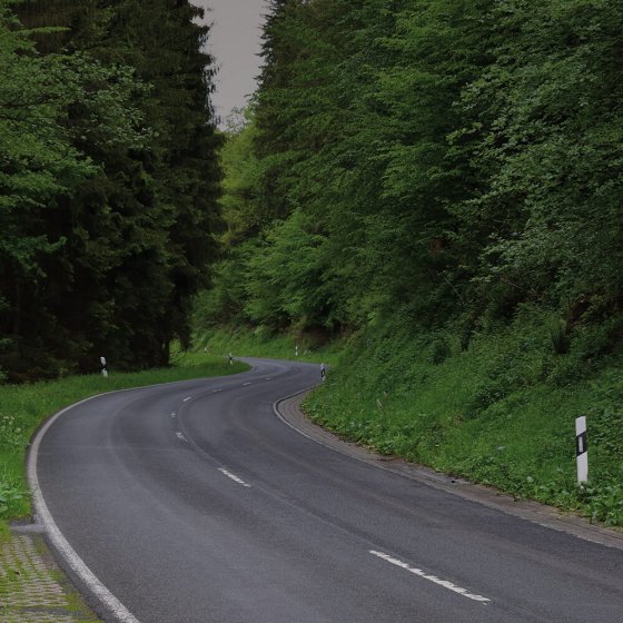 4 Stück Auto Hirsch Warnung Pfeifen Geräte,Wildwarngerät,Auto