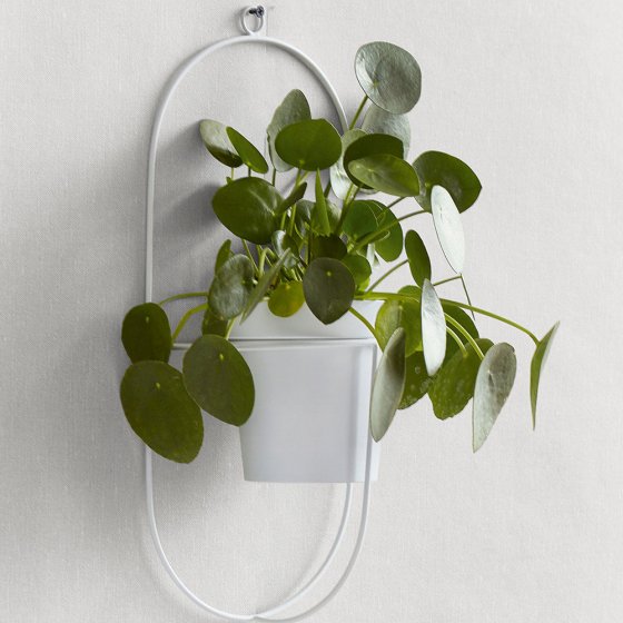 Wandhalter Blumentopf 