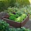 Hochbeet mit Rankhilfe Nessa - 2