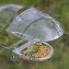 Vogelfutterhaus Nessa transparent 2-teilig - 2