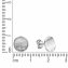 Ohrringe Silber 925 rhodiniert mit eismatter Oberfläche - 2