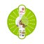 Spritzschutz Smart Kitchen - 2