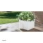 Blumentopf mit Wasserspeicher Nessa eckig weiß - 2