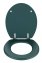 WC-Sitz Mod. Prima Dunkelgrün matt, MDF - 2