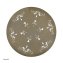 Runder nostalgischer Metalltisch Lily - 2