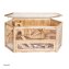 Hamsterkäfig aus Holz und Plexiglas Natur Pur für Ihren kleinen Nager - 2