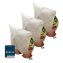 Pflanzenschutz-Vlies 80 x 60 cm, Beige, 3er Set, reißfestes Wintervlies für Pflanzen - 2