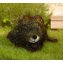 Gartendeko Igel 1 - 2