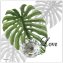 Wandhaken Leaf - 2
