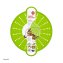 Spritzschutz Smart Kitchen - 2