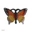 Wanddeko Schmetterling - 2