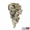 Pflanzgefäß Apollon Wanddeko Aphrodite - 2
