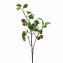 Beerenzweig 87 cm Kunstpflanze Flora - 2