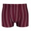 Mikrofaser-Streifenshorts - 4er Pack - 2