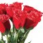 Handgefertigte Rosen aus Gänsefedern 12 Stück - 2