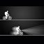 Innovative Fahrradbeleuchtung - 2
