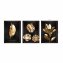 Wandbilder 3er Set Golden Leaves - 2