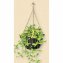 Blumenampel Nessa antik 2er-Set - 2