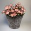 Blumentopf Nessa Ornamente Gold Silber 3er-Set - 2