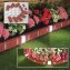 Beetumrandung Nessa Solar Brick 10-teilig Terracotta - 2