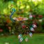 Vogeltränke „Pfau“ - 2
