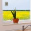 Digitales Fensterthermometer - 2
