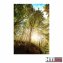 Paravent Wald - 2
