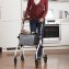 OWR 108 Wohnungsrollator - 2