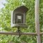 Vogelbeobachtungskamera mit Futterstelle - 2