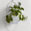 Wandhalter Blumentopf - 2