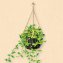 Blumenampeln im Antik-Look (2er-Set) - 2