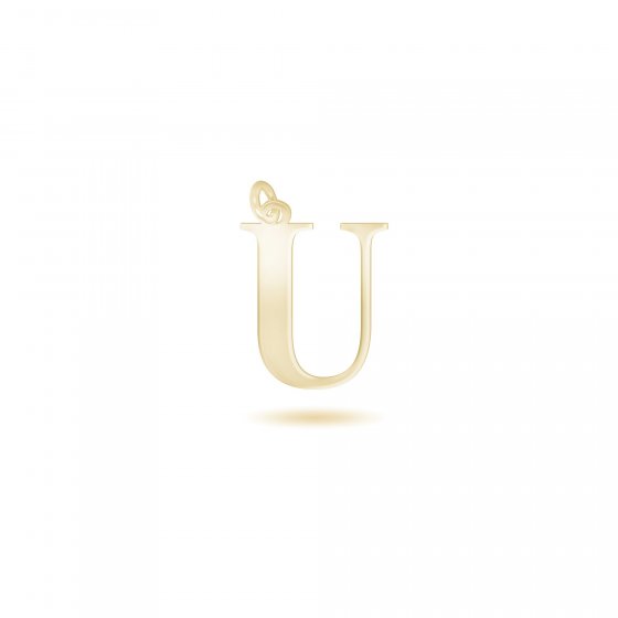 Anhänger mit Kette 925-Sterling Silber vergoldet Glänzend 45cm 