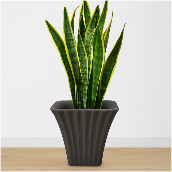 Übertopf Blumentopf 