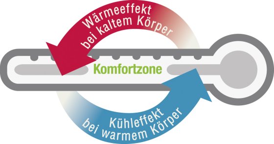 Bettdecke Klima Activ Plus Duo-Steppbett 155x220 cm frankenstolz 