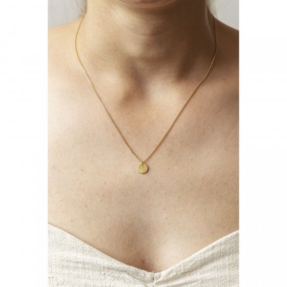 Halskette 375/- Gelbgold Coin eismatt 