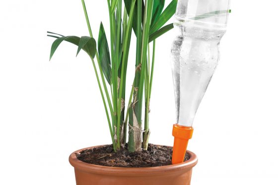 Bewässerungs-Spikes 30er Set, gleichmäßige Wasserversorgung von Pflanzen 