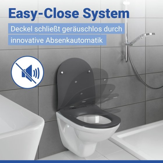 WC Sitz Mod. Sedilo Grau matt, Toilettendeckel in D-Form mit Absenkautomatik 