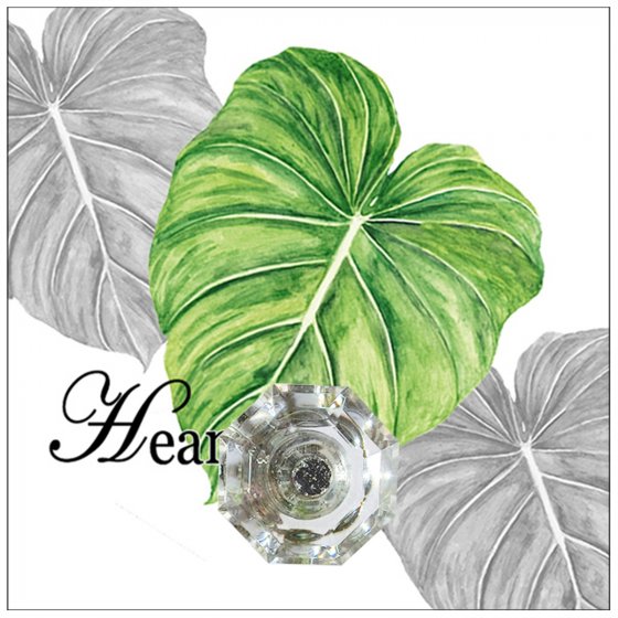Wandhaken 4er-Set Leaf 