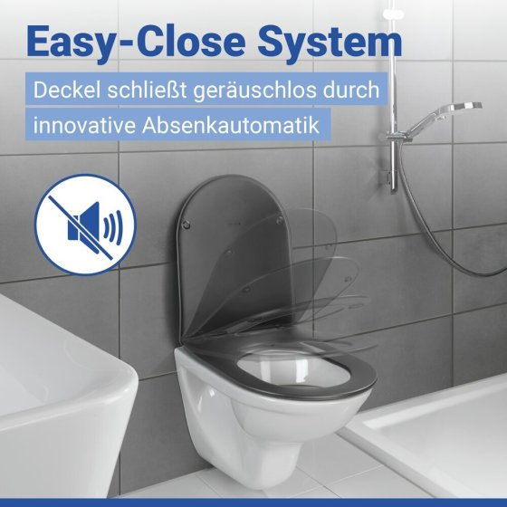 WC Sitz Mod. Galati Anthrazit matt, Toilettendeckel in D-Form mit Absenkautomatik 