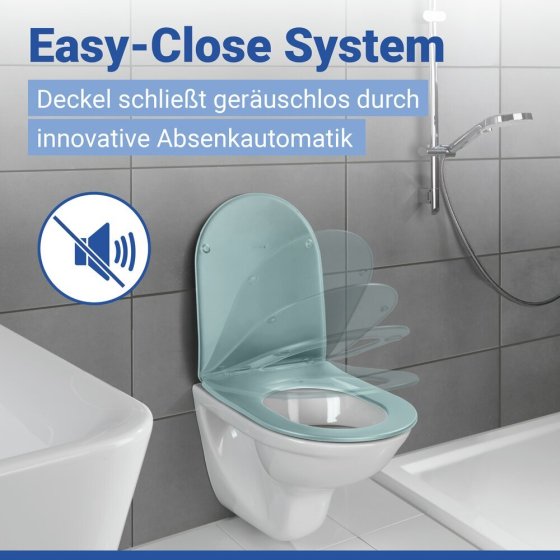 WC Sitz Mod. Galati Blaugrau matt, Toilettendeckel in D-Form mit Absenkautomatik 