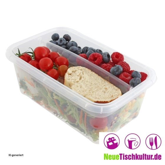 Lunchbox mit Einsatz Sustania 