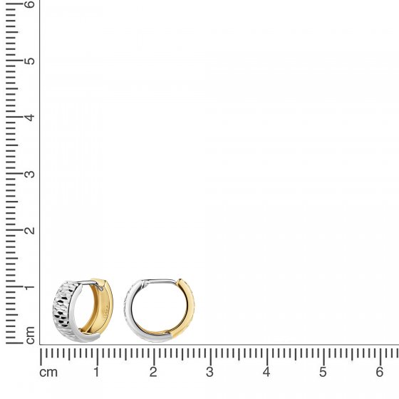 Creolen 585/- Gelbgold bicolor diamantiert 