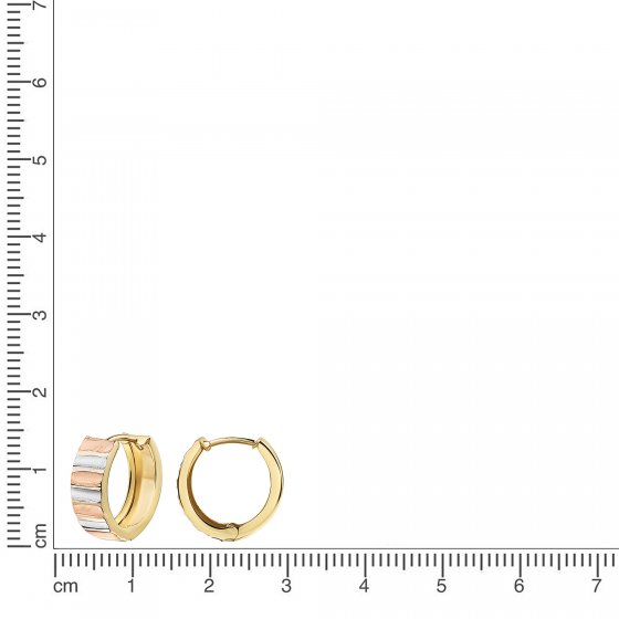 Ohrring 375 Gelbgold tricolor 