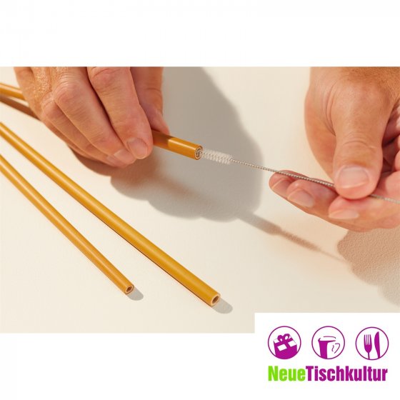 Strohhalme Bambus, 10 St, inkl. Bürste Natural Elements 