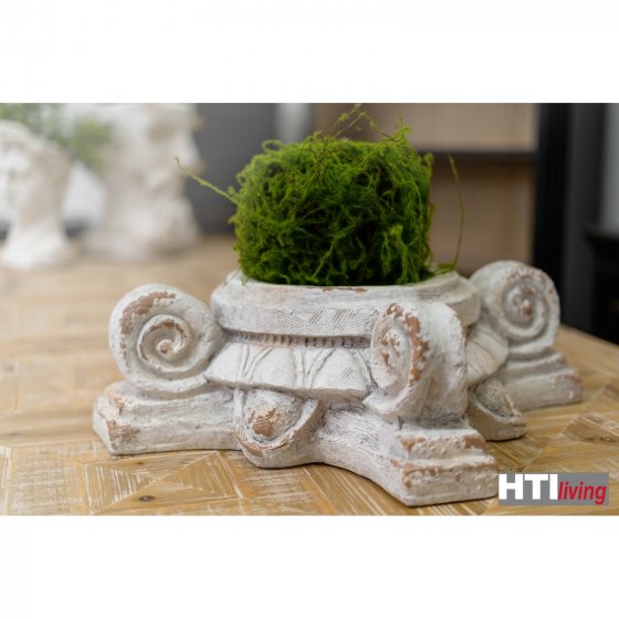 Pflanzgefäß Apollon Blumenkübel Volute