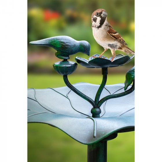 Vogeltränke Tessa 1 