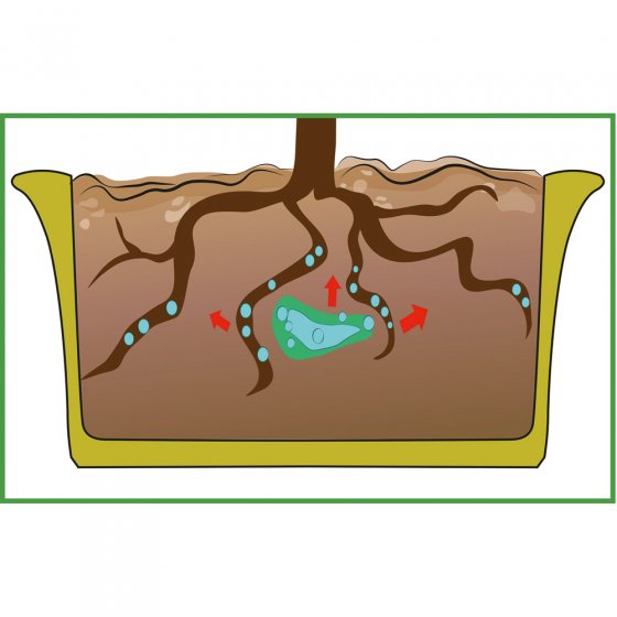 Wasserspeicher-Gel 