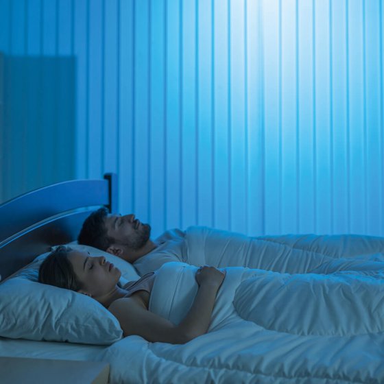 LED-Mückenlampe „2 in 1“
