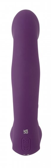 Vibrator 4 Function Vibrator 